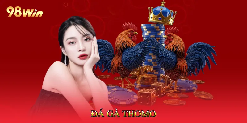 Đá gà Thomo