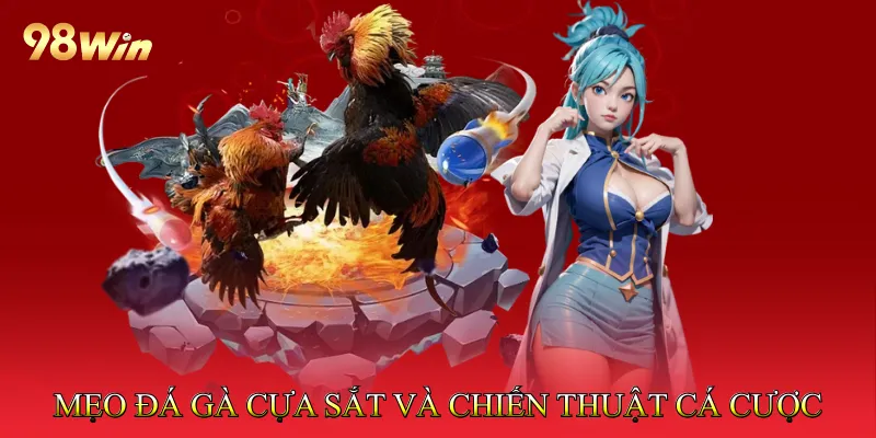 Mẹo Đá Gà Cựa Sắt và Chiến Thuật Cá Cược